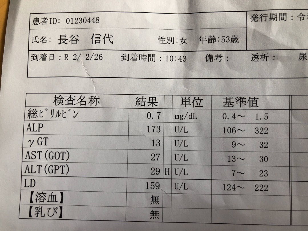 3ヶ月に1度の診察と週刊誌と睡眠