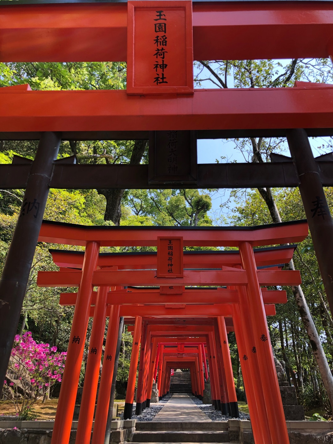 諏訪神社散策で新しい発見、気持ちいい時間