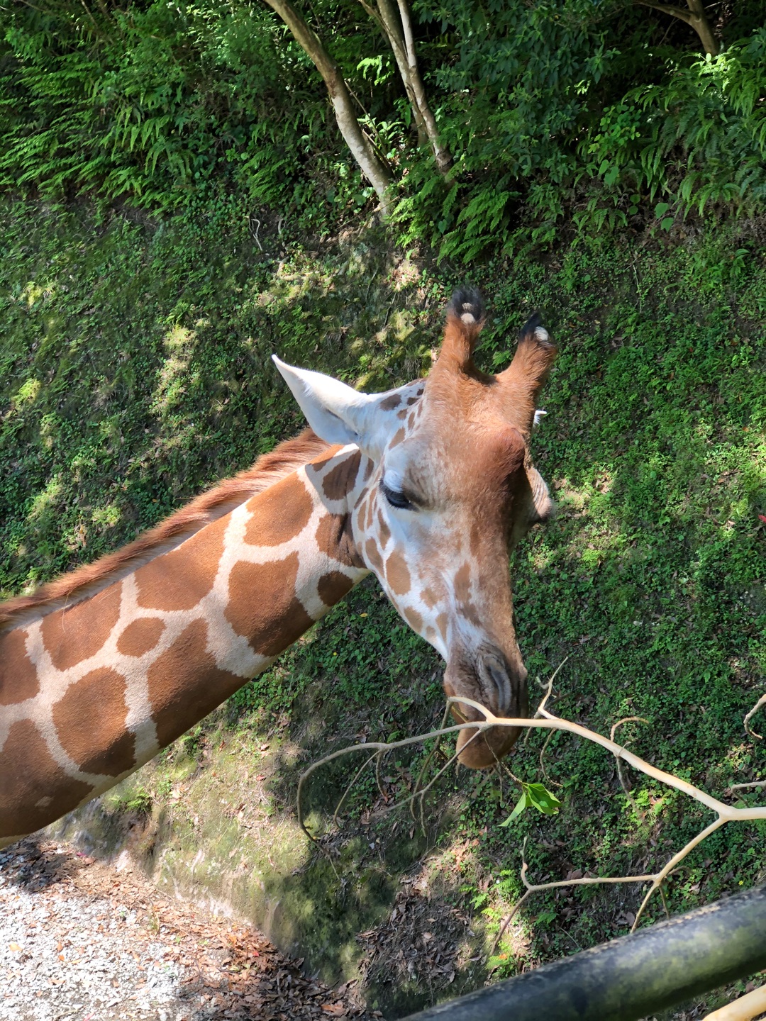 長崎バイオパークはやっぱり楽しいし和む♡