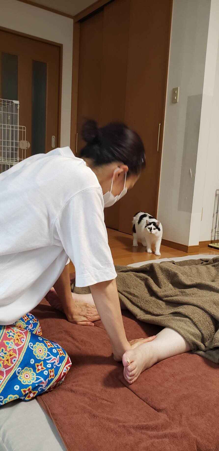 猫友さんとのご縁でタイ古式マッサージ施術