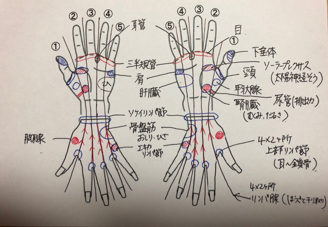 ハンドリフレクソロジーに行ってみた！とっても良かったのでご紹介♡