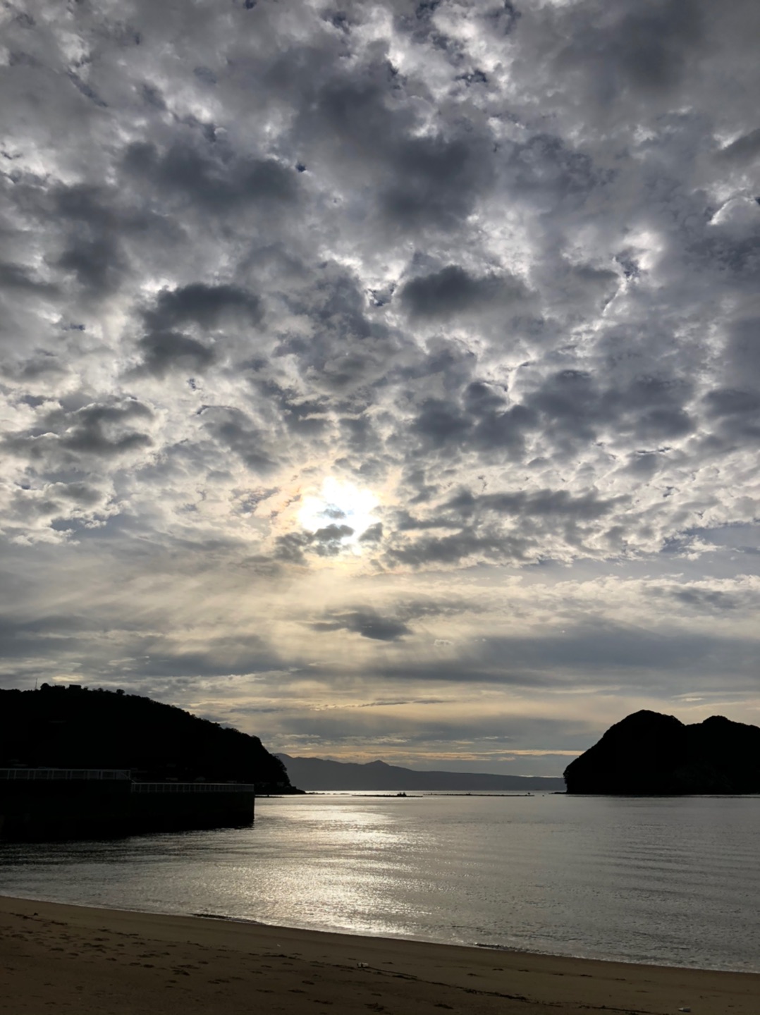 今年は最後かな～　浜ヨガに行ってきました！