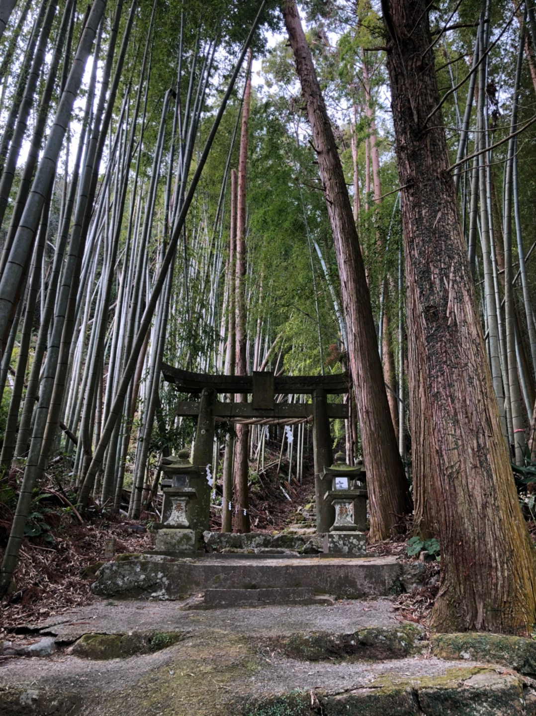 不思議な神社へお詣り