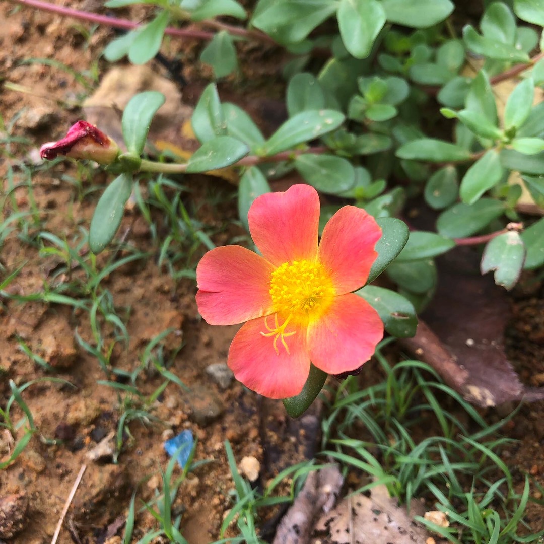 夏から秋・冬に向かう心もち