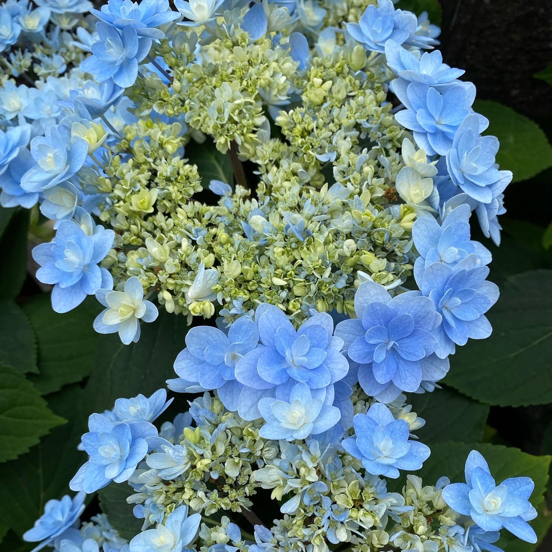 梅雨を楽しく過ごすには？