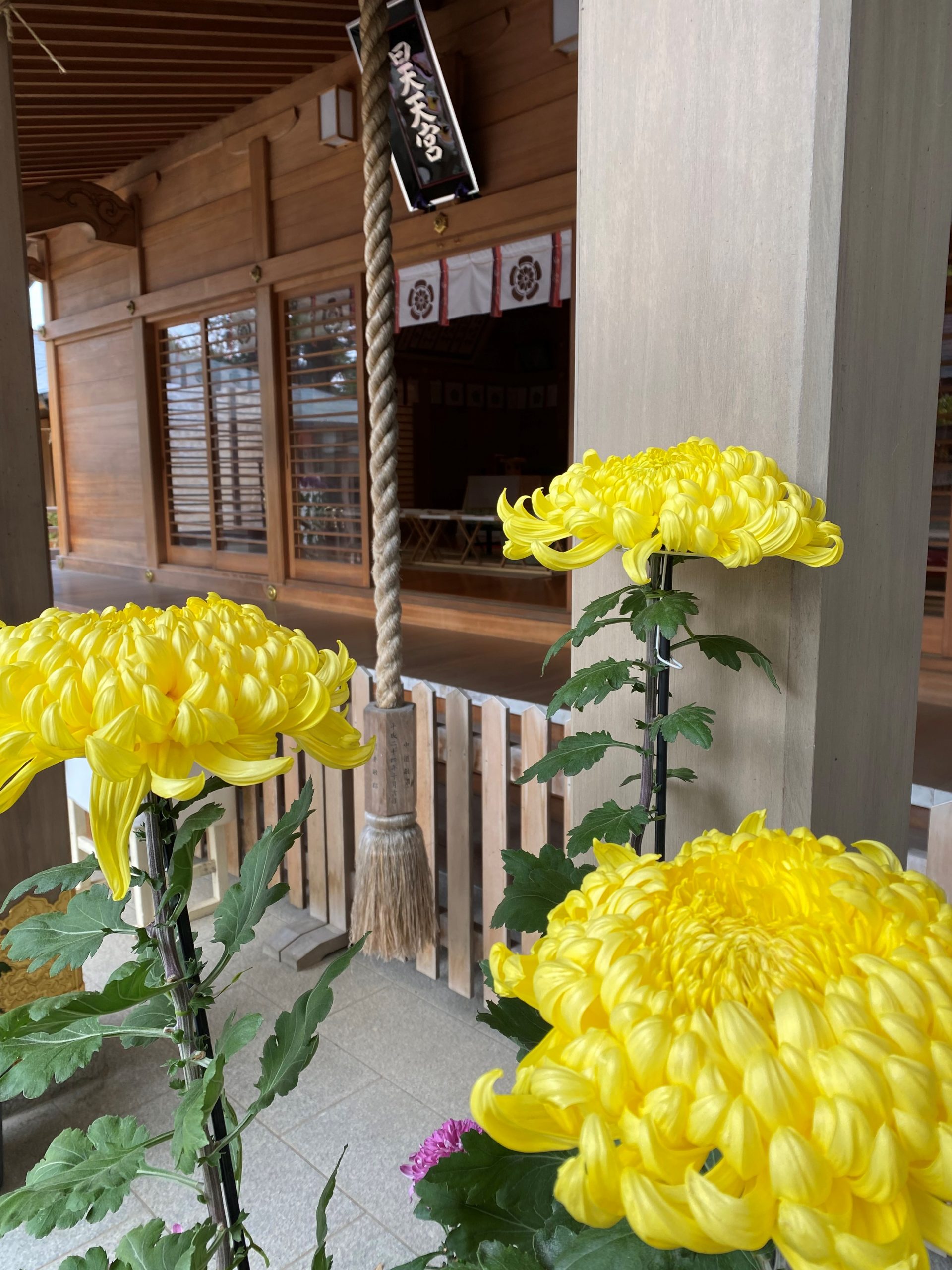 朝のコーヒーと白湯と冷え